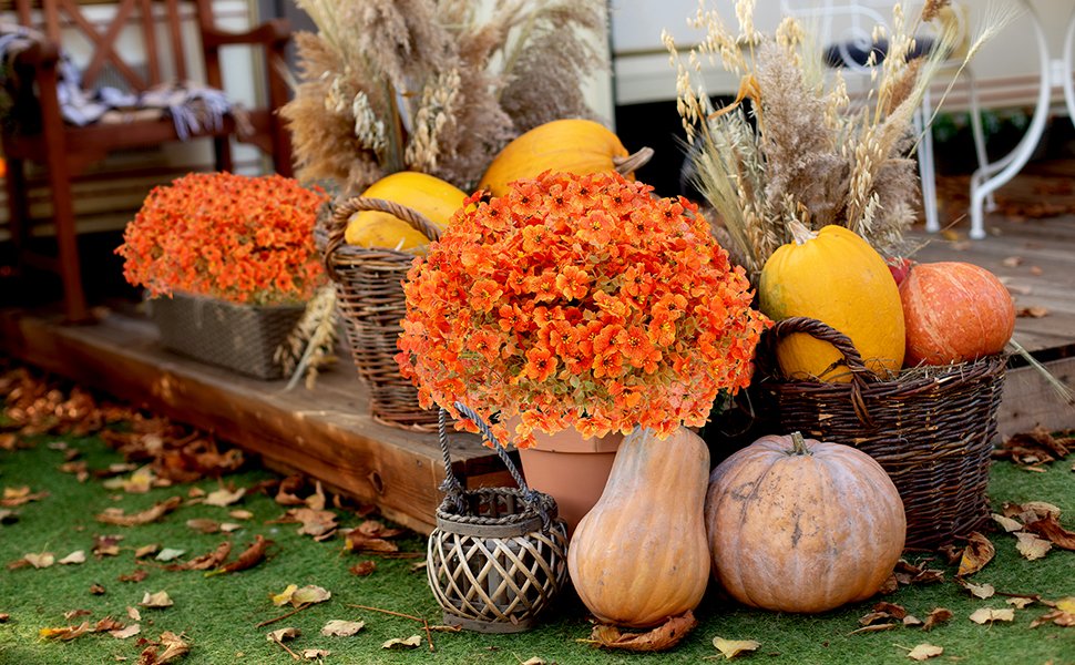 Autumnal porch decor with orange mums, pumpkins, gourds, and dried grasses on a wooden deck.