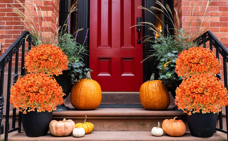 Two large potted orange mum bushes flank a red front door with pumpkins on the steps.