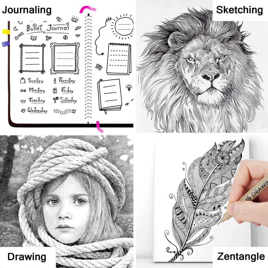 Collage of four drawings: bullet journal page, lion portrait, girl with rope, and feather with pen. Drawing and Zentangle text overlays.