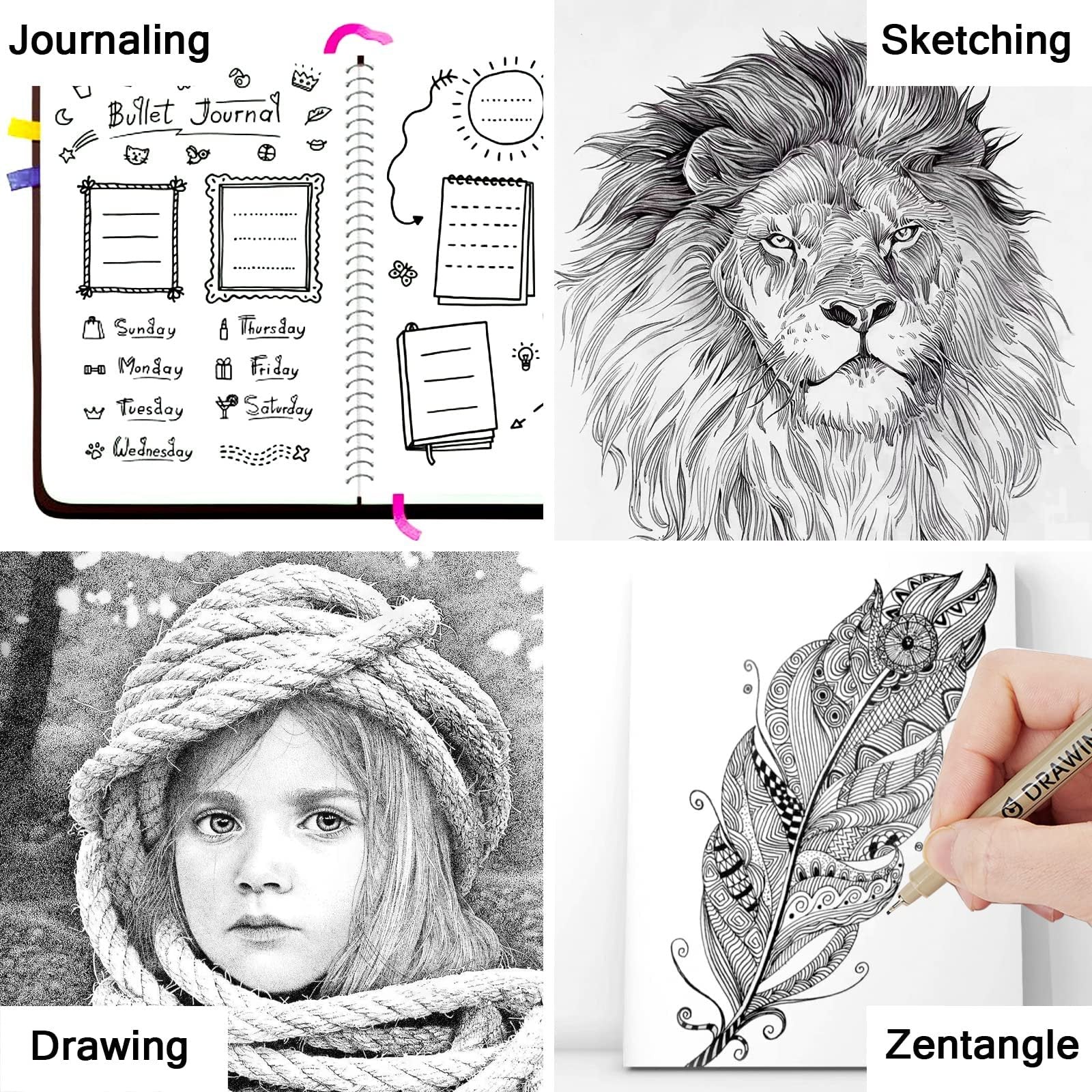 Collage of four drawings: bullet journal page, lion portrait, girl with rope, and feather with pen. Drawing and Zentangle text overlays.