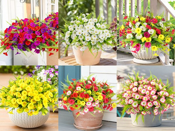 Collage of six different arrangements of artificial petunia and fern flowers in planters.