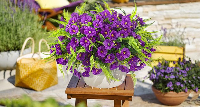 Artificial purple petunia and fern flowers in a white planter on a wooden stool, with a yellow woven bag and other plants in the background.