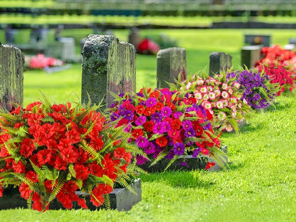 Row of artificial petunia and fern flower arrangements in red, purple, and pink hues placed in front of gravestones in a cemetery.