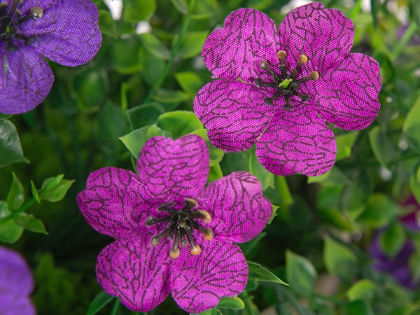Close-up of artificial purple daisy flowers with green eucalyptus leaves, fabric petals with dark veins