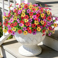 Artificial daisy flowers in red, purple, and yellow in a white marble-patterned planter on a porch.