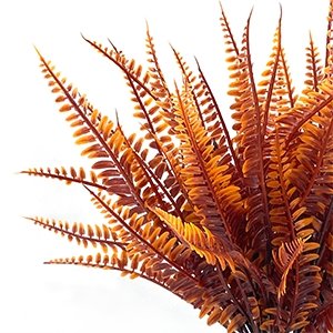 Close-up of artificial fall fern leaves in shades of orange and brown, against a white background.