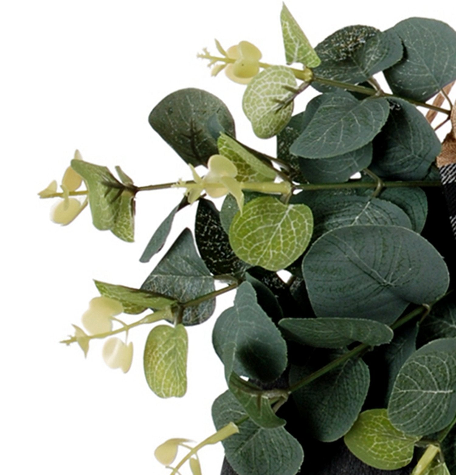 Close-up of a eucalyptus wreath with a plaid bow on a white background.