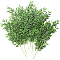 A fanned arrangement of 12 artificial Italian Ruscus greenery stems with green leaves and wire stems on a white background.