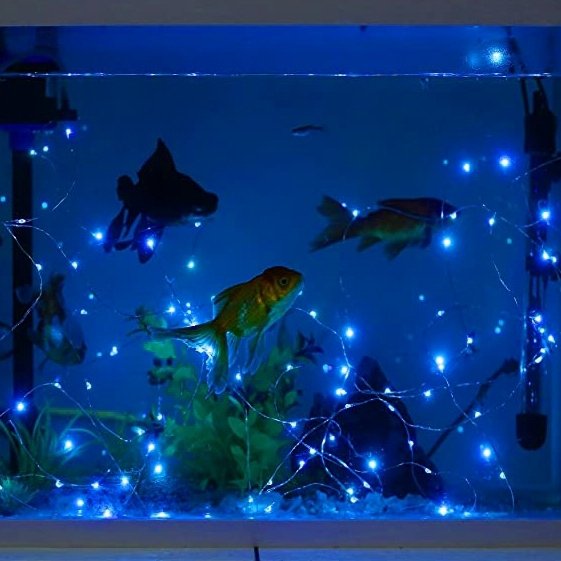Aquarium with goldfish and blue fairy lights draped around plants and decorations