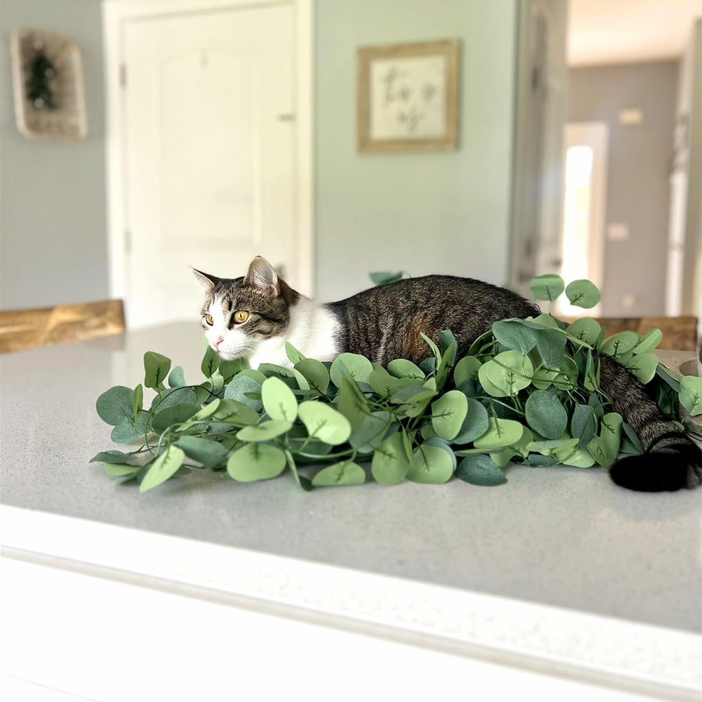 Tabby cat resting on artificial eucalyptus garland on a countertop
