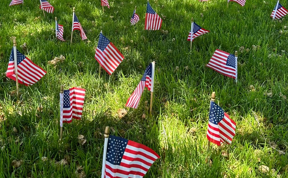 Numerous small American flags planted in green grass, some angled and waving.