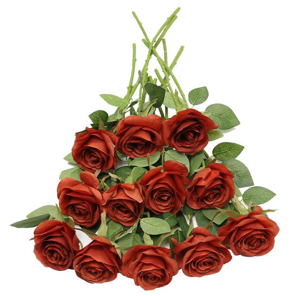 A dozen burnt orange artificial silk roses with green leaves and long stems arranged on a white background.