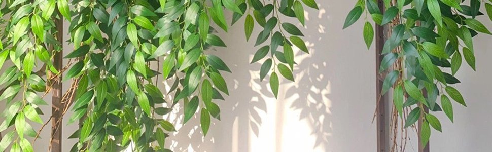 Artificial Italian ruscus greenery stems with numerous green silk leaves cascading down against a light wall with dappled shadows.