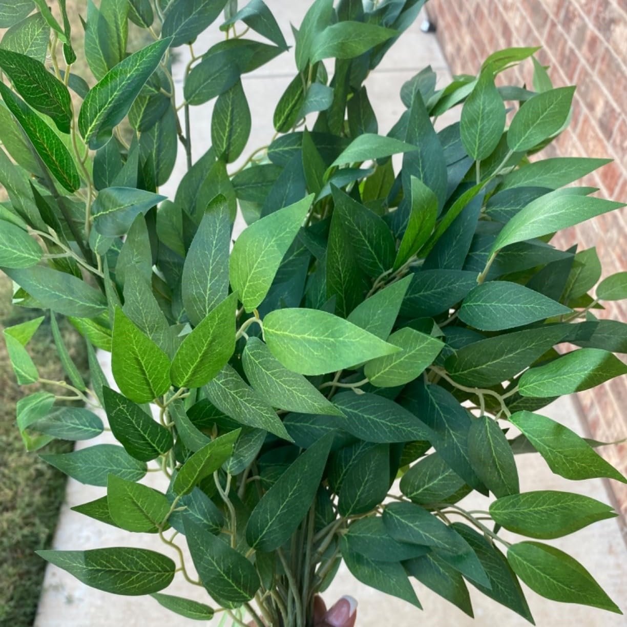 Bunch of 12 artificial Italian ruscus greenery stems with numerous silk leaves, held in hand.