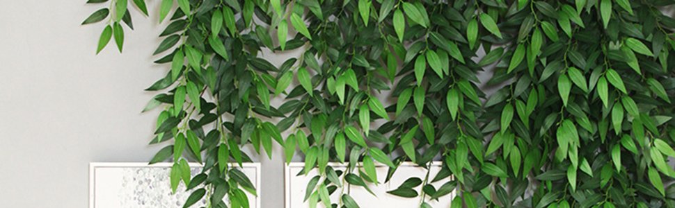 Artificial Italian ruscus greenery stems with numerous silk leaves cascading down a wall.