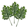 Three artificial Italian ruscus greenery stems with numerous dark green silk leaves on white background