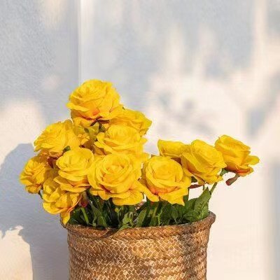 Bunch of 12 yellow silk roses in a woven basket against a white wall with shadows