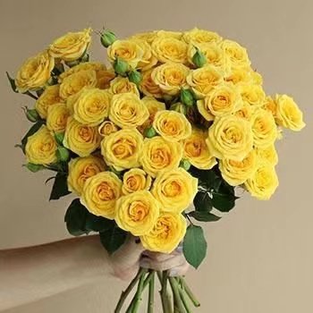 Bouquet of 12 yellow silk roses with green leaves held by a hand