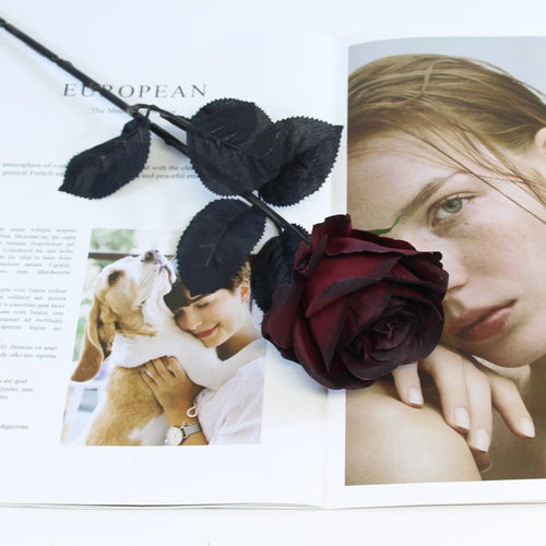 Burgundy artificial rose with black stem resting on an open magazine featuring a woman and a dog with a woman.
