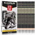 12-piece charcoal pencil drawing set with a wolf illustration on the box and pencils labeled hard, medium, and soft.