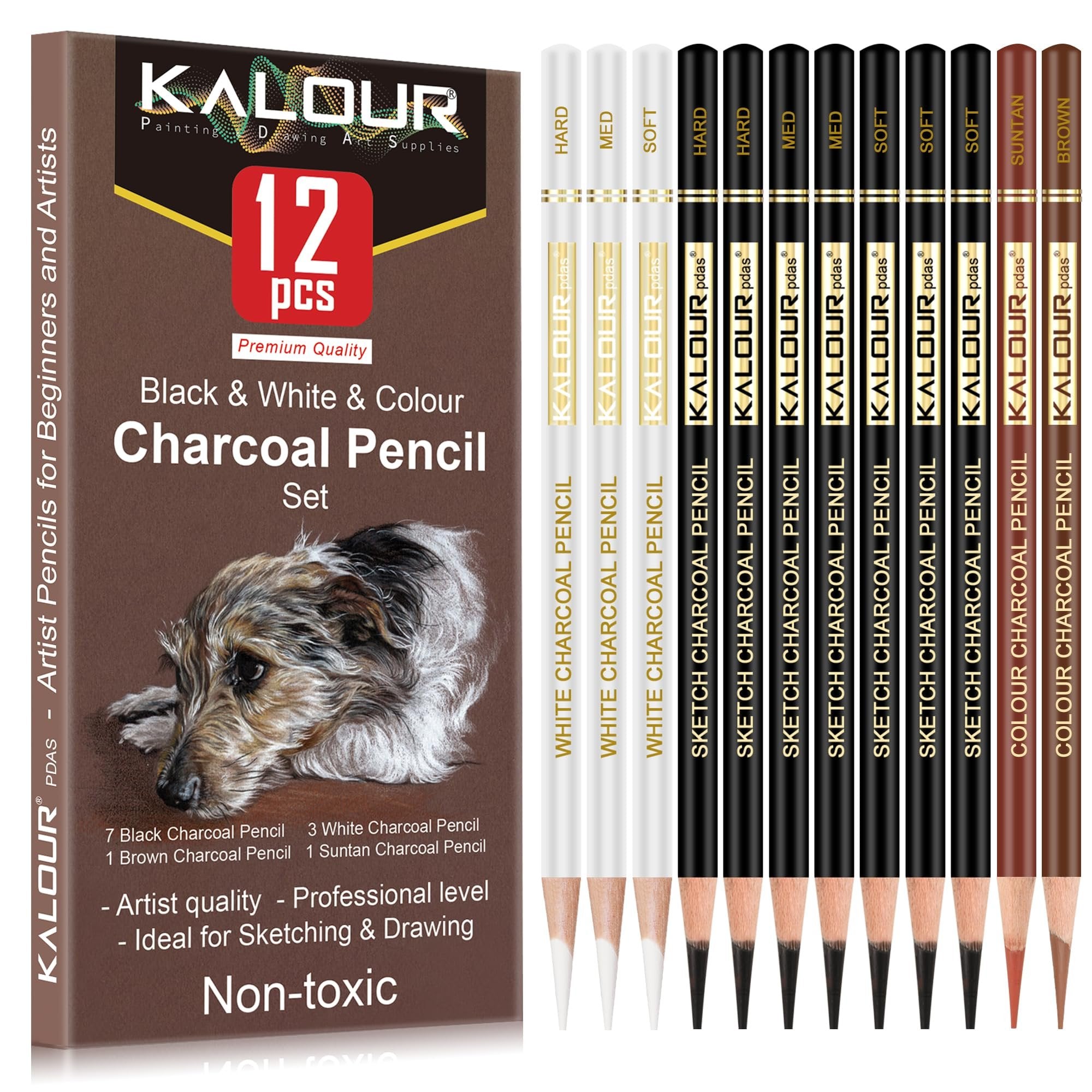 Set of 12 charcoal pencils for drawing, featuring black, white, and color pencils, with a dog sketch on the packaging.
