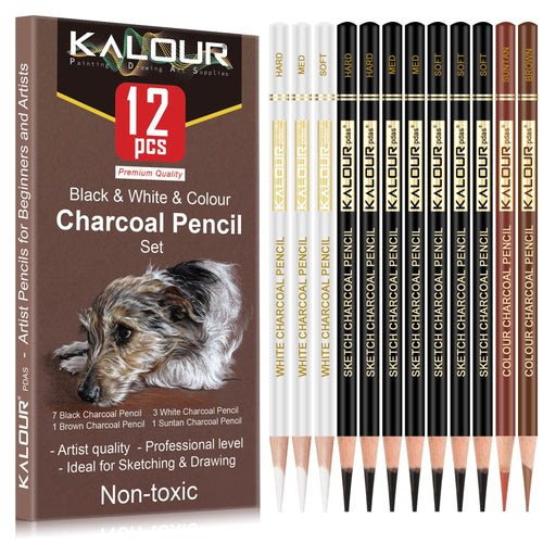 Set of 12 charcoal pencils for drawing, featuring black, white, and color pencils, with a dog sketch on the packaging.