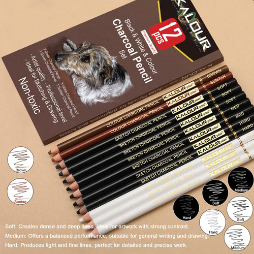 Set of 12 charcoal drawing pencils with a dog sketch on the box, showing colors and textures.