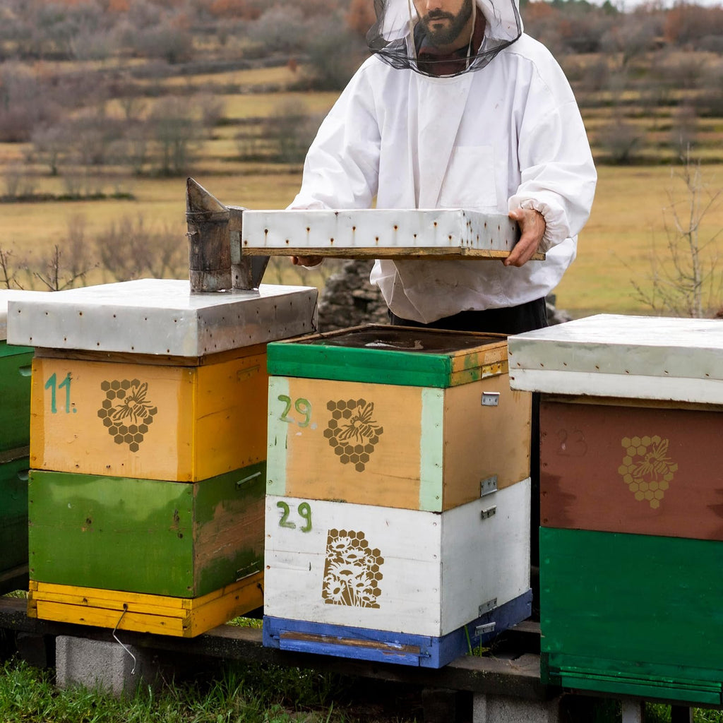 Beekeeper in protective suit holding a wooden frame over stacked beehives with painted numbers and honeycomb designs.