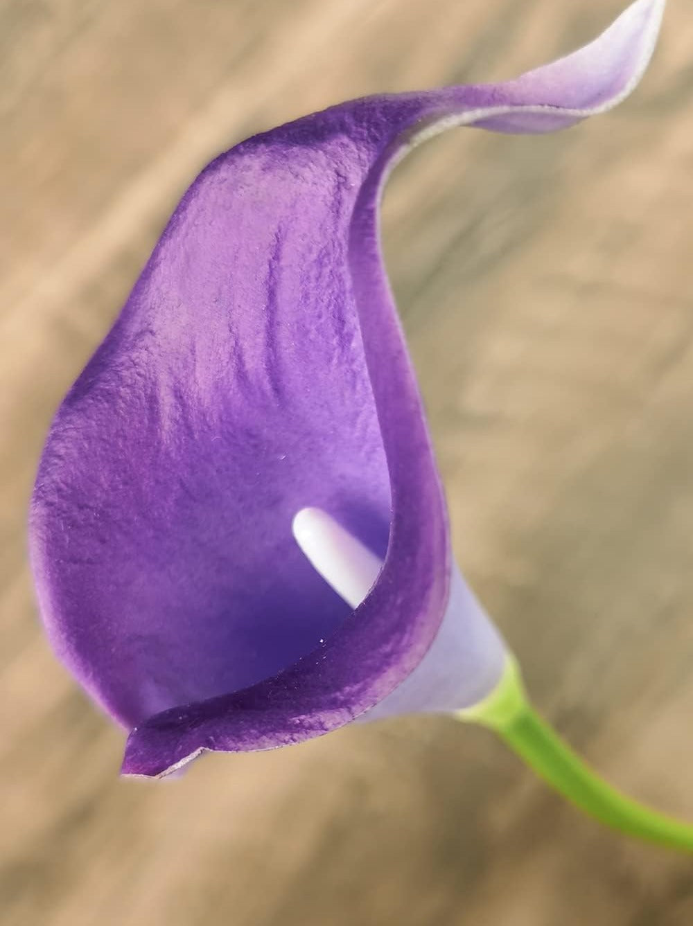 Close-up of a single purple artificial calla lily flower with a white stamen, set against a blurred wooden background.