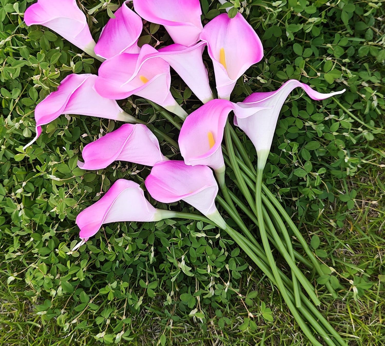 Bouquet of pink and white calla lilies lying on green grass