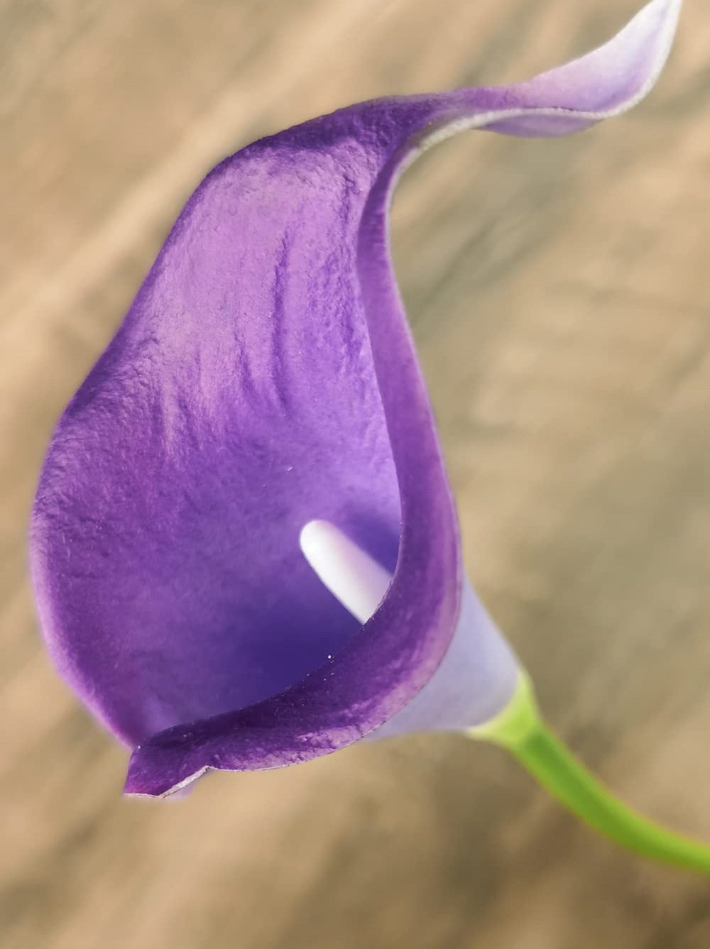 Close-up of a single purple artificial calla lily flower with a white stamen, against a blurred wooden background.