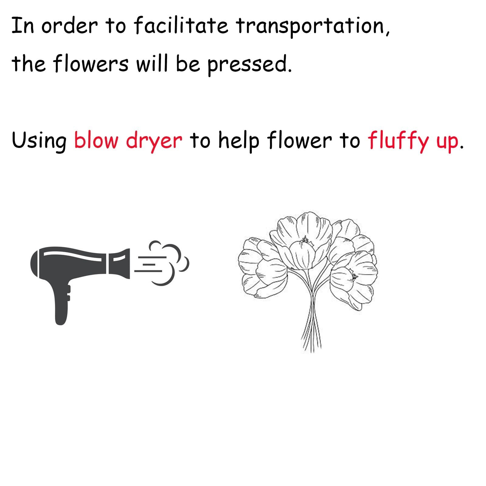 Illustration showing a hairdryer blowing air towards a bouquet of flowers, with text instructions.