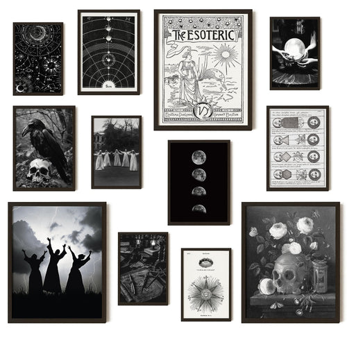 Collage of 12 vintage gothic-themed framed art prints featuring celestial charts, skulls, witches, moons, and botanical still lifes.
