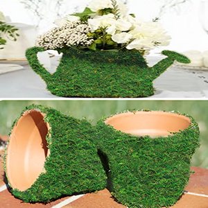 Green moss-covered watering can with flowers and two moss-covered terracotta pots