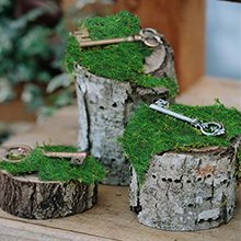 Three birch log slices topped with green preserved moss and decorative keys, arranged on a wooden surface.