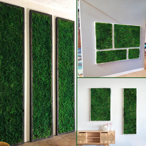 Framed preserved green moss wall art panels displayed in various arrangements on walls.
