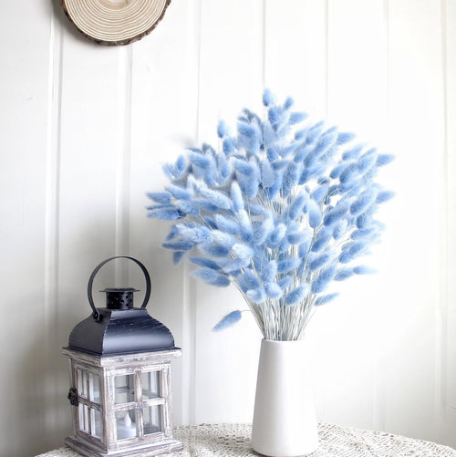 Bouquet of blue bunny tail pampas grass in a white vase next to a decorative lantern.