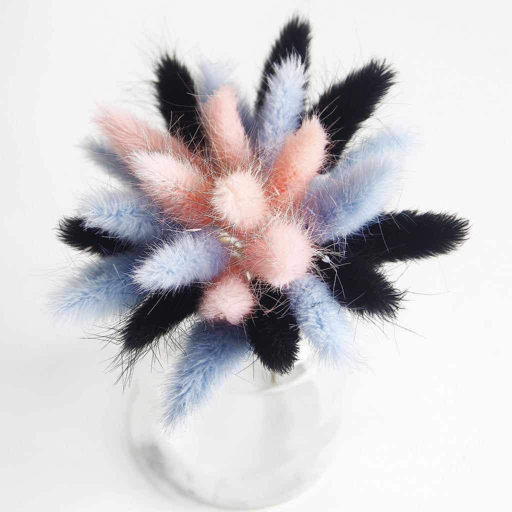 Close-up overhead view of dried bunny tail pampas grass in black, pink, and blue hues in a clear glass vase.