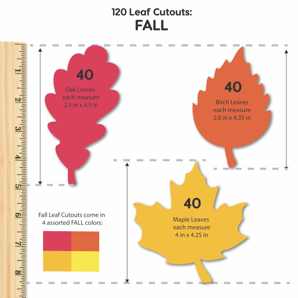 Ruler alongside three fall leaf cutouts: red oak, orange birch, and yellow maple, with size and quantity details.