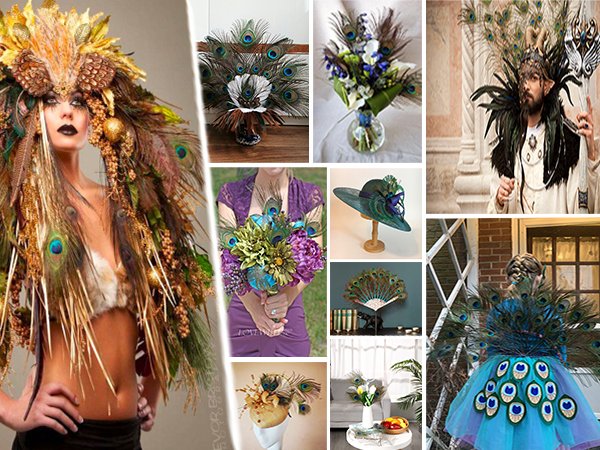 Collage of peacock feather crafts and decorations including a headdress, bouquet, hat, and fan