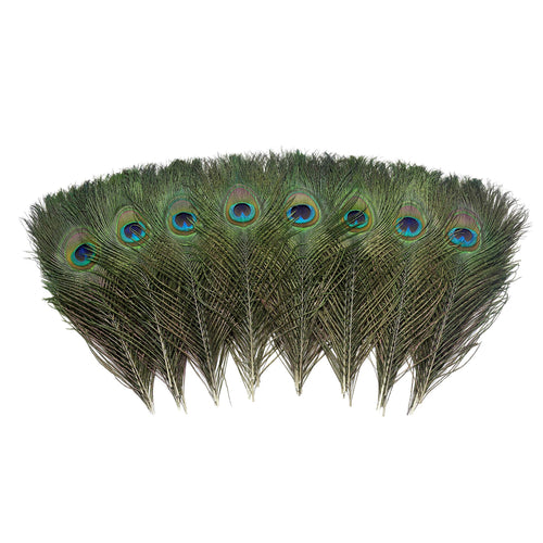 A fan of 120 natural peacock eye feathers, 10-12 inches long, displayed against a white background.