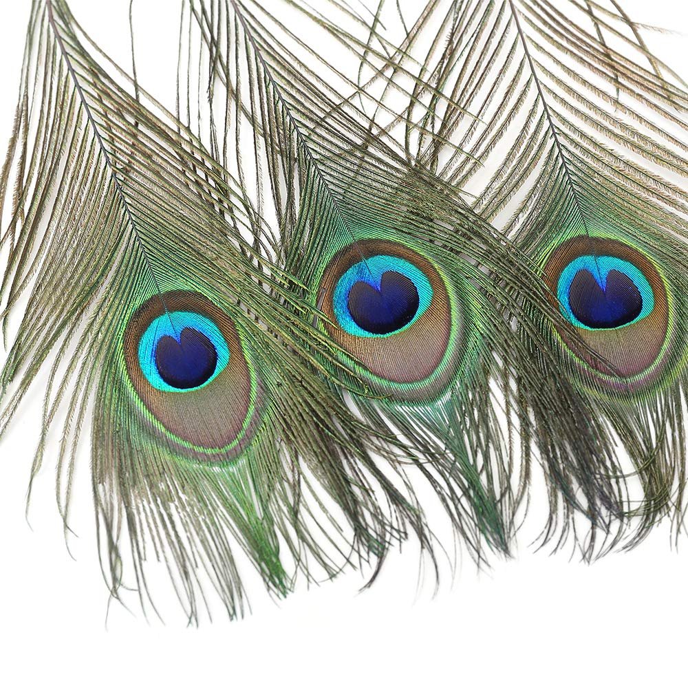 Three natural peacock eye feathers with iridescent blue and green patterns on a white background.