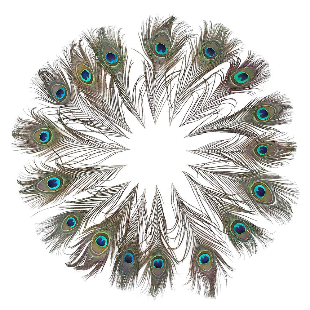 A circular arrangement of 120 natural peacock eye feathers, 10-12 inches long, on a white background.