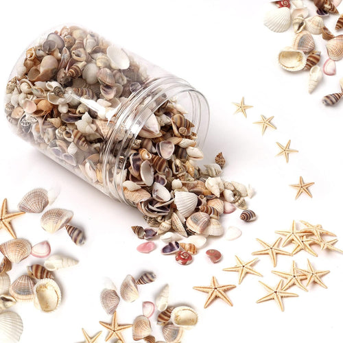 Assorted natural seashells and small starfish spilling from a clear plastic jar onto a white background.
