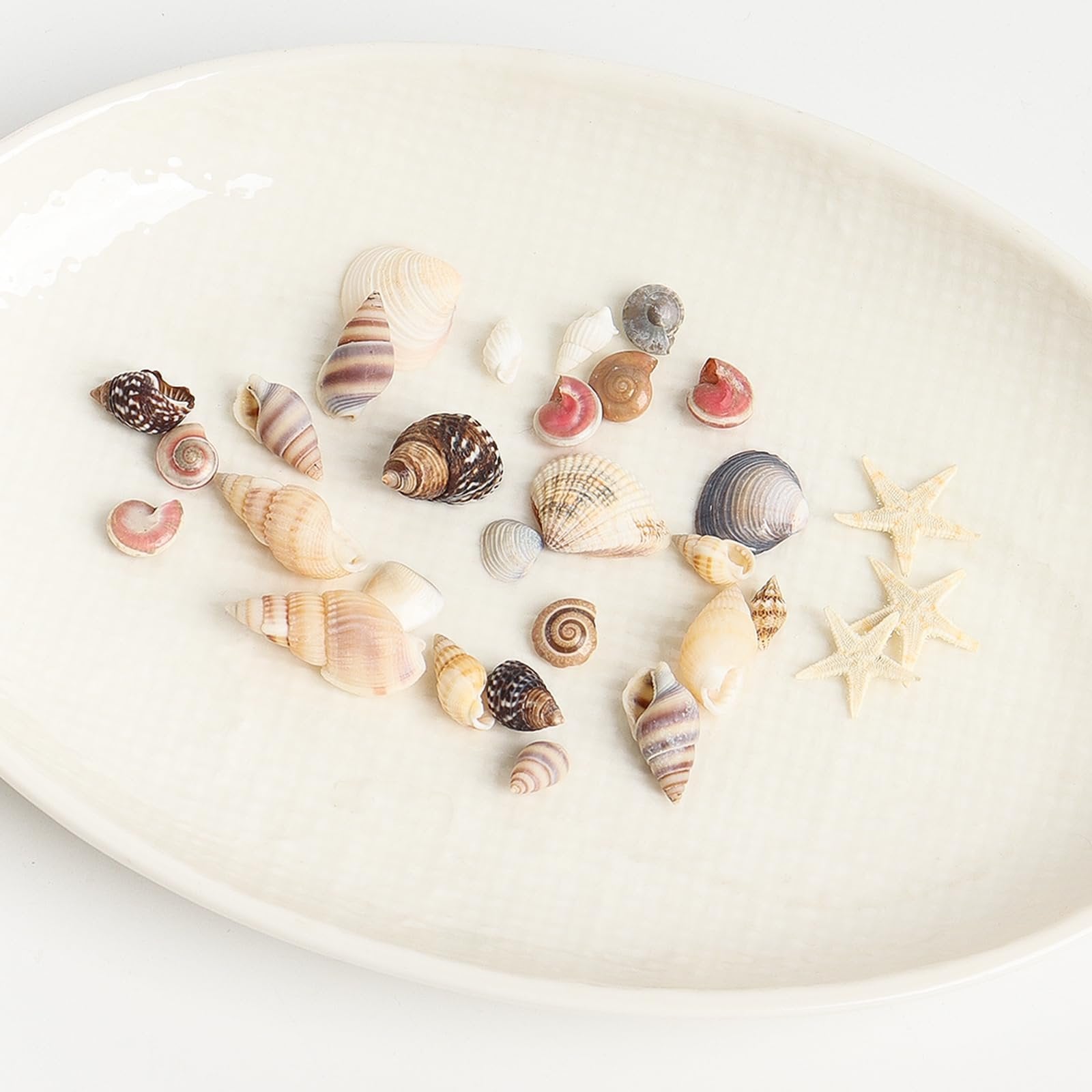 Assortment of natural seashells and small starfish scattered on a textured white oval dish.