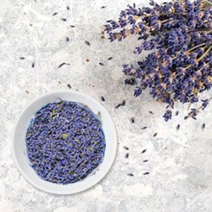 Dried lavender flowers in a white bowl next to a bouquet of lavender on a textured gray surface