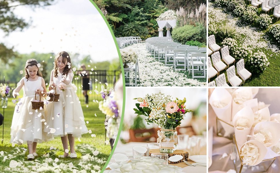 Wedding ceremony aisle lined with chairs and covered in white flower petals, with flower girls scattering petals.