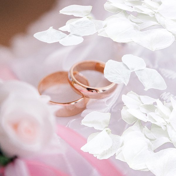 Two rose gold wedding rings with white flower petals and pink ribbon on a soft fabric background