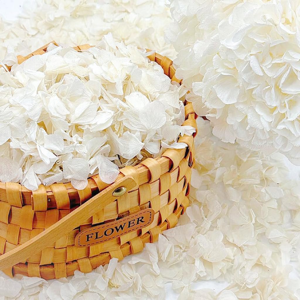 Woven basket filled with ivory white dried hydrangea petals, with more petals scattered around and a large hydrangea bloom to the right.