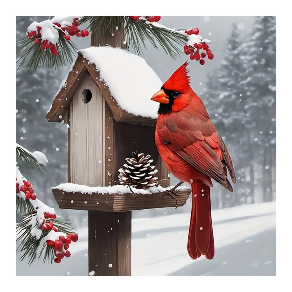 A cardinal perches on a snow-covered birdhouse in a winter forest setting with pine branches and berries.